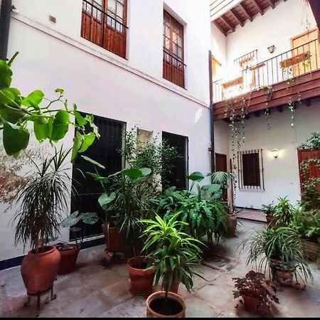 Coco Home Sevilla Urban Apartment Eksteriør billede